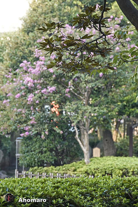 写真00