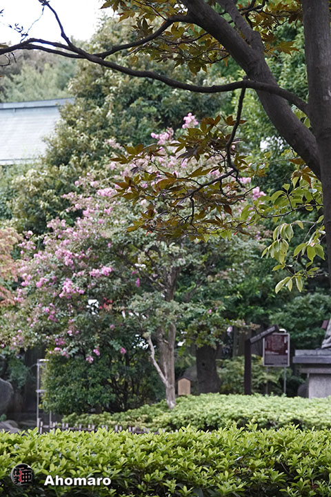 写真00