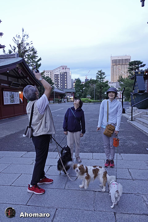 写真00