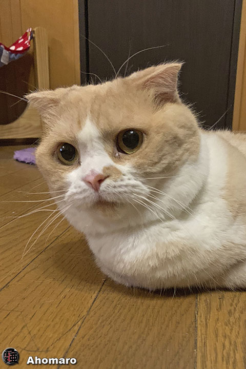 写真00