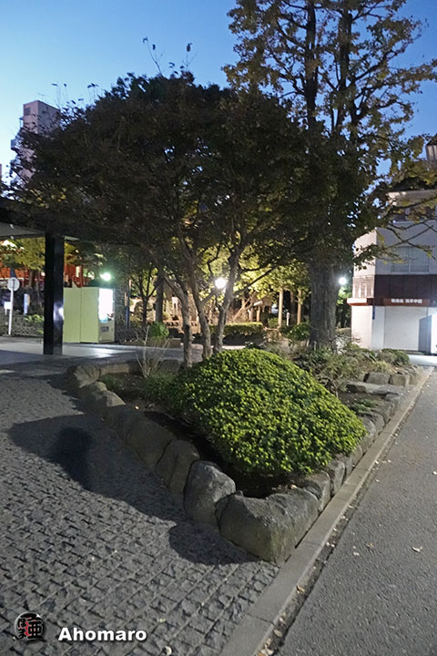 写真00