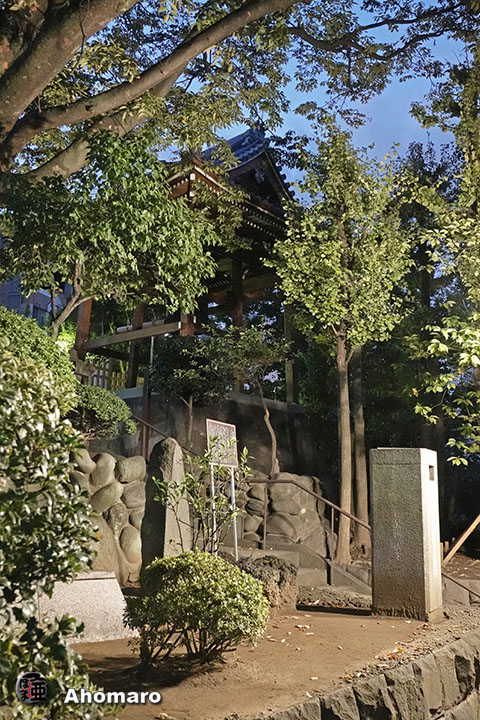 写真00