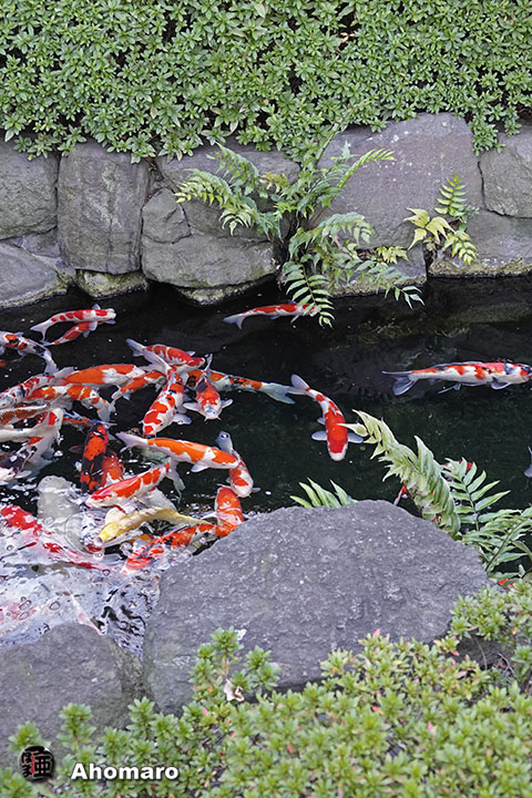 写真00