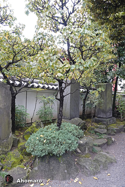 写真00