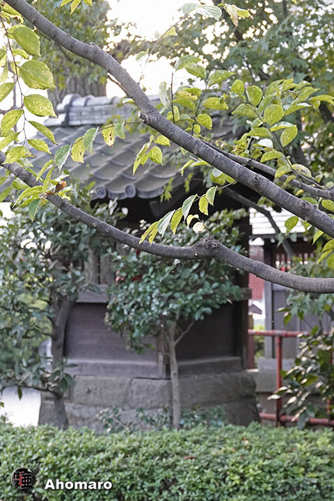 写真00