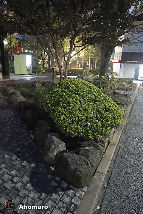 写真00