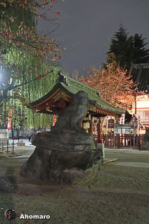 写真00