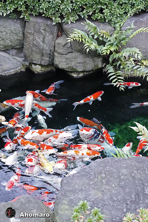 写真00
