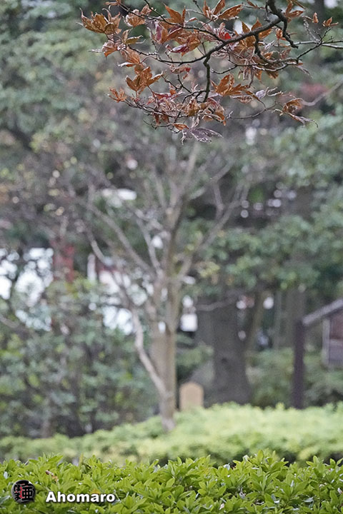 ʐ^00