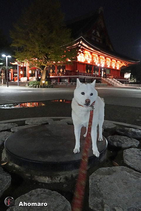 写真00