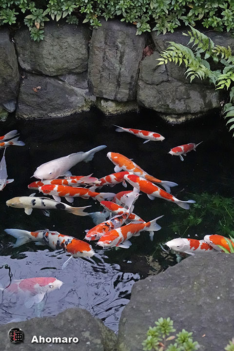 写真00