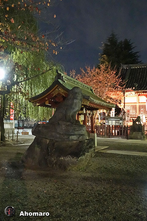 写真00