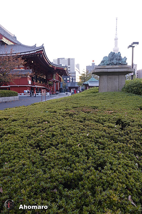 写真00