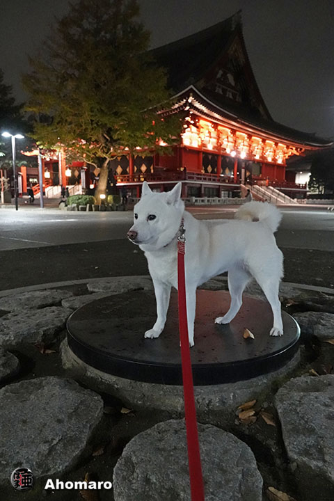 写真00