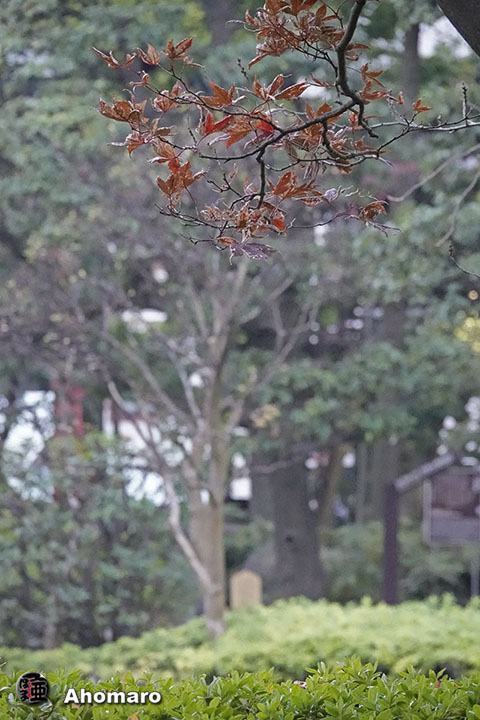写真00