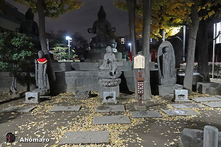 写真00