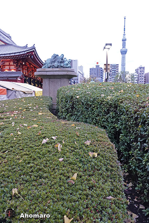 写真00