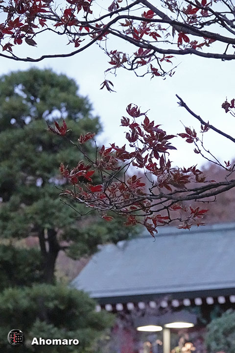 写真00