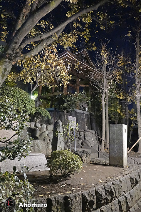 写真00