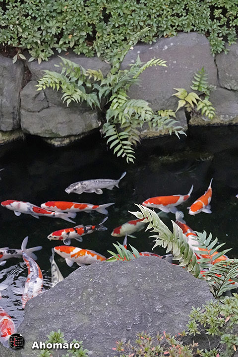 写真00
