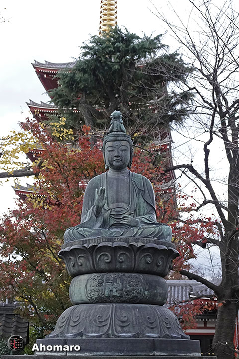 写真00