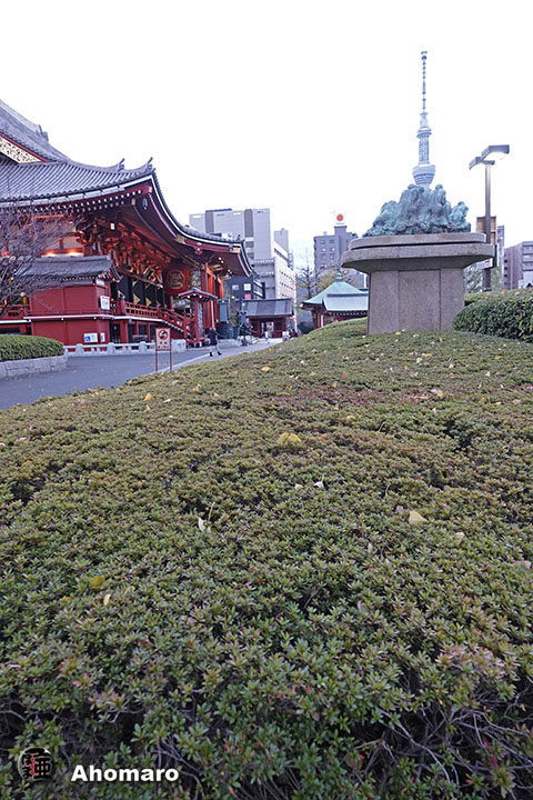 写真00