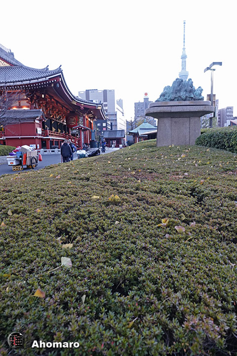 写真00