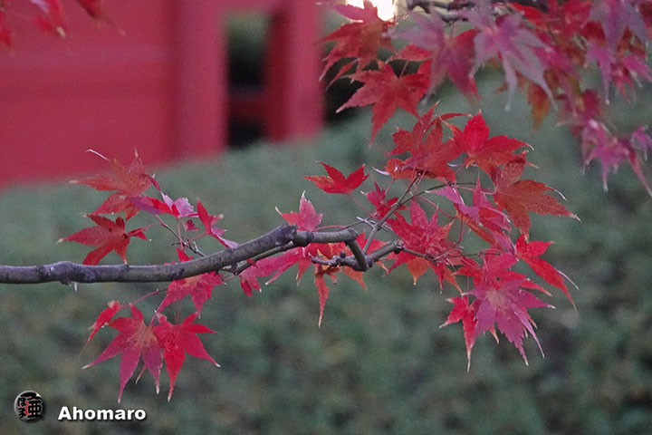 写真00