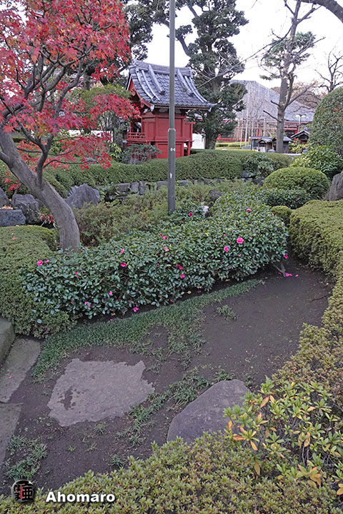 写真00