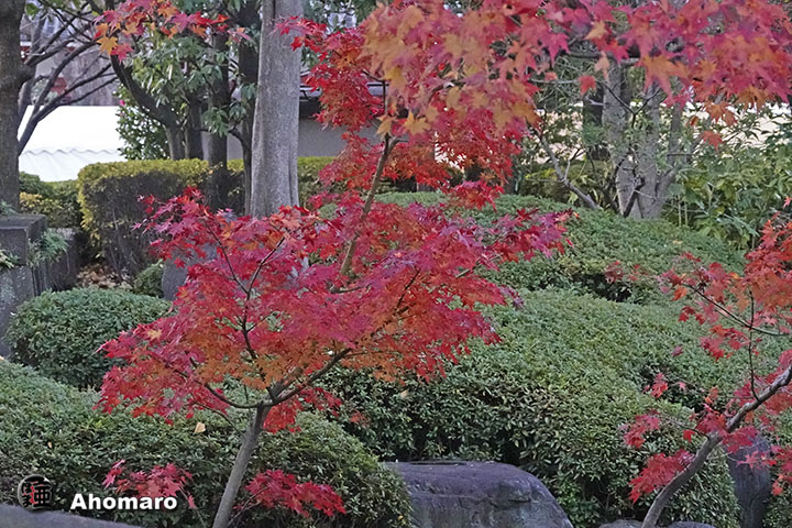 写真00