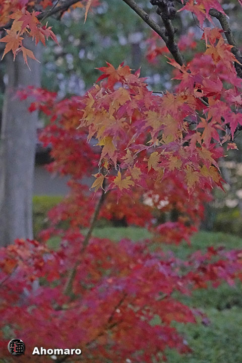 写真00