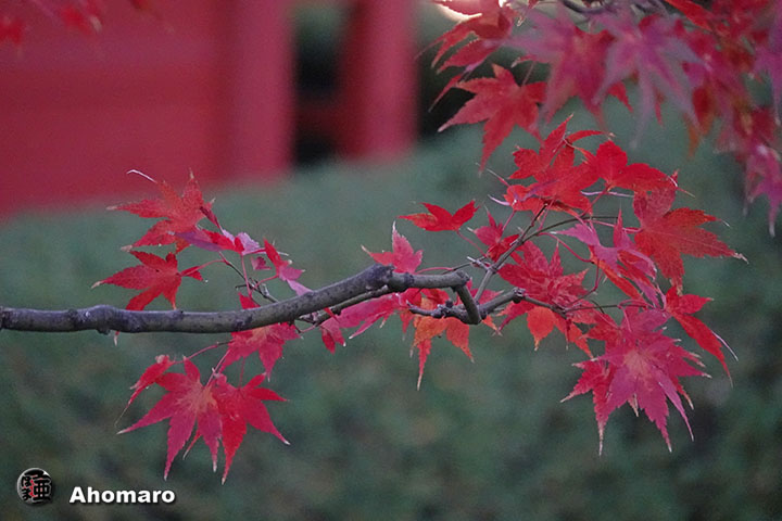 写真00