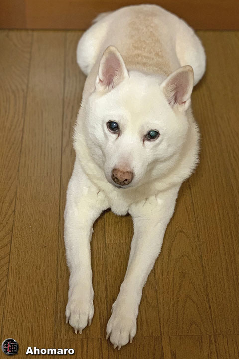 写真00
