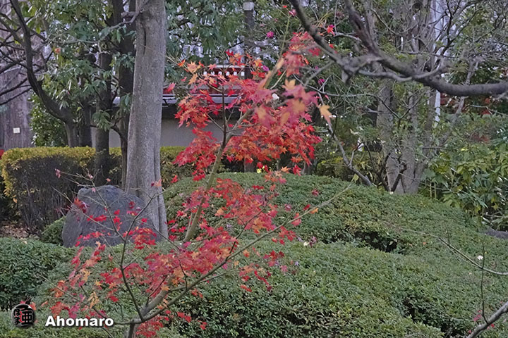 写真00