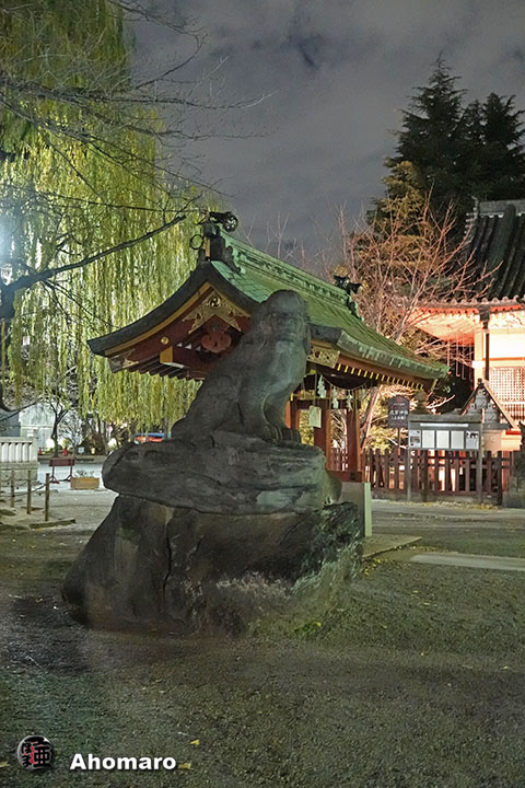 写真00
