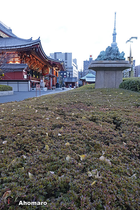 写真00