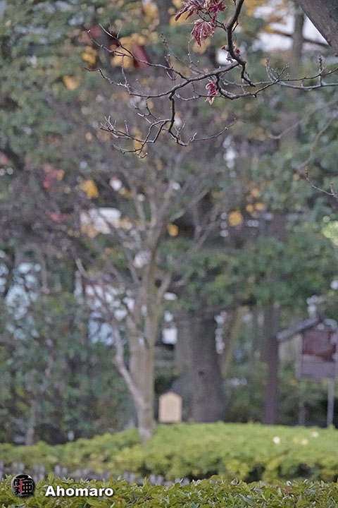写真00