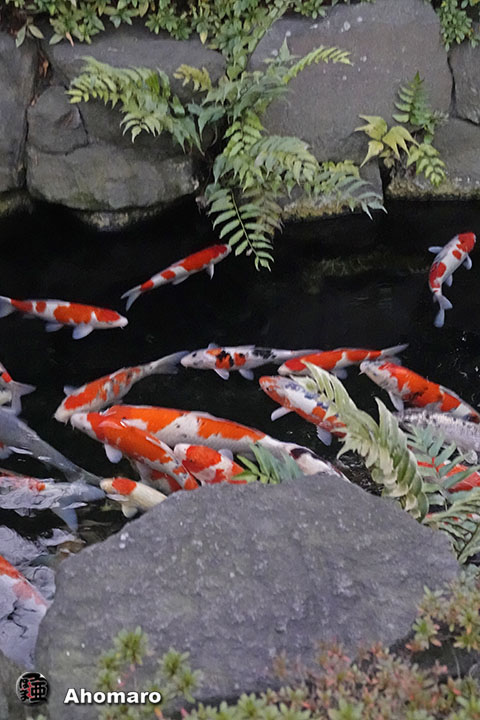 写真00