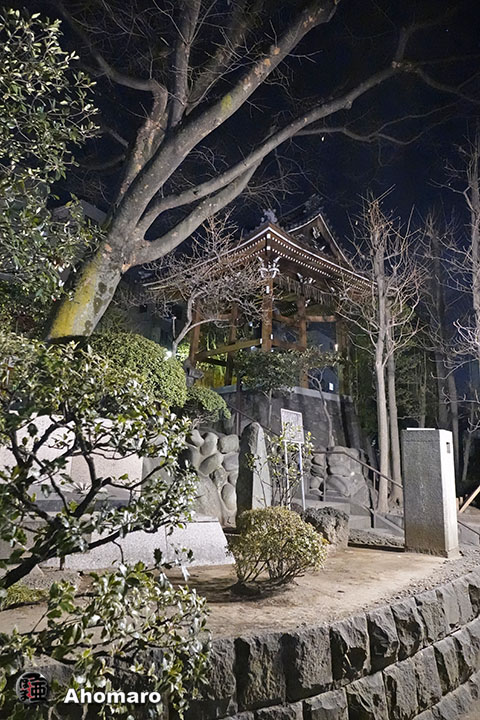 写真00