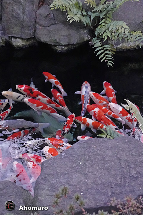 写真00