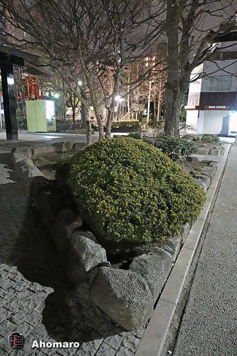 写真00
