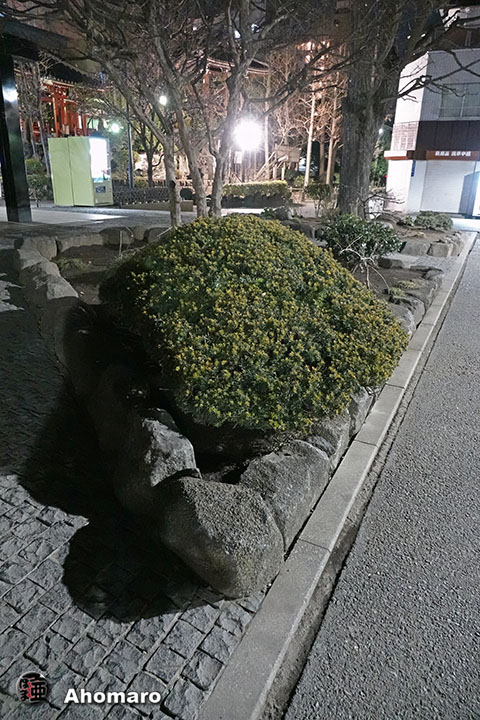 写真00