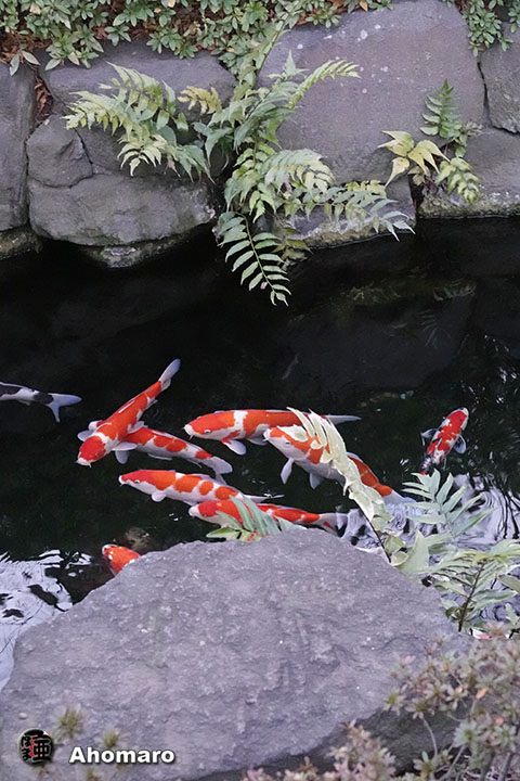 写真00