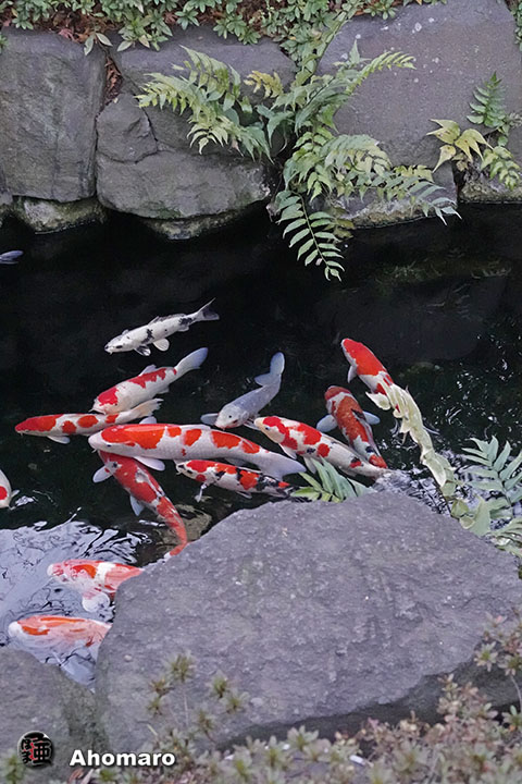 写真00
