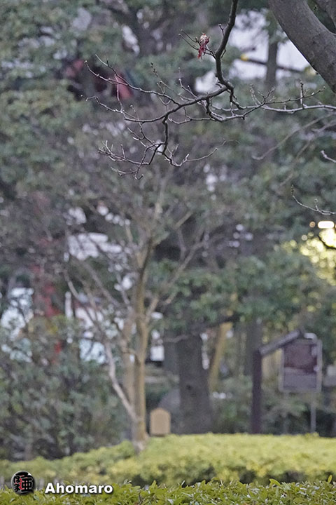 写真00