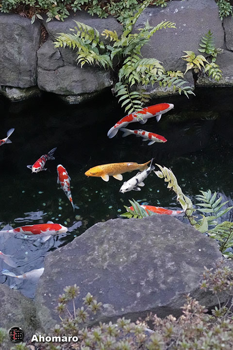 写真00