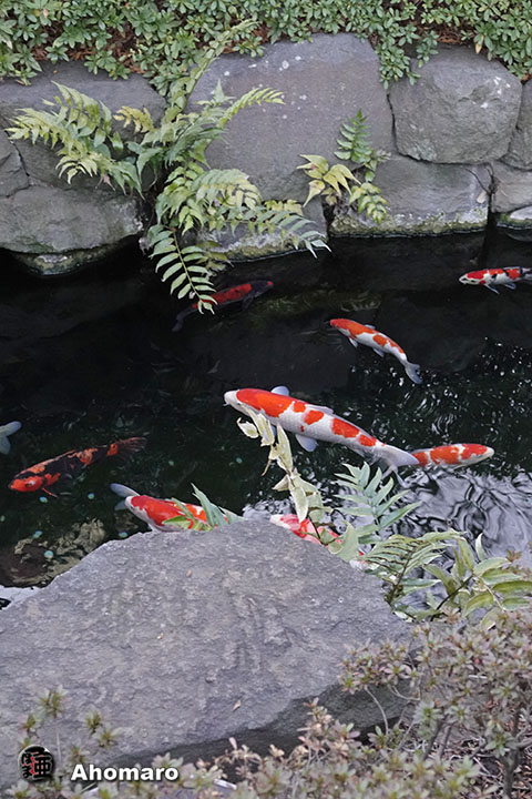 写真00