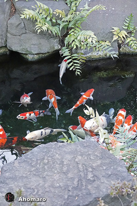 写真00