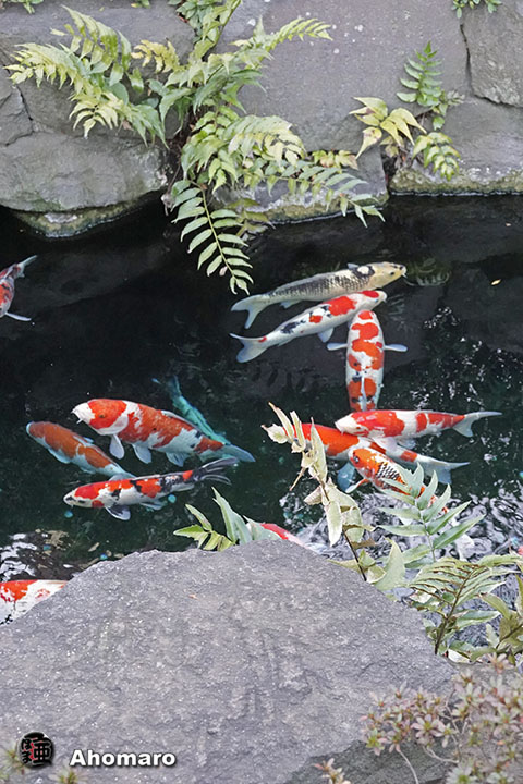 写真00
