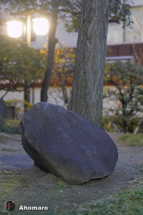 写真00